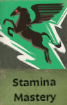 Stamina Mastery